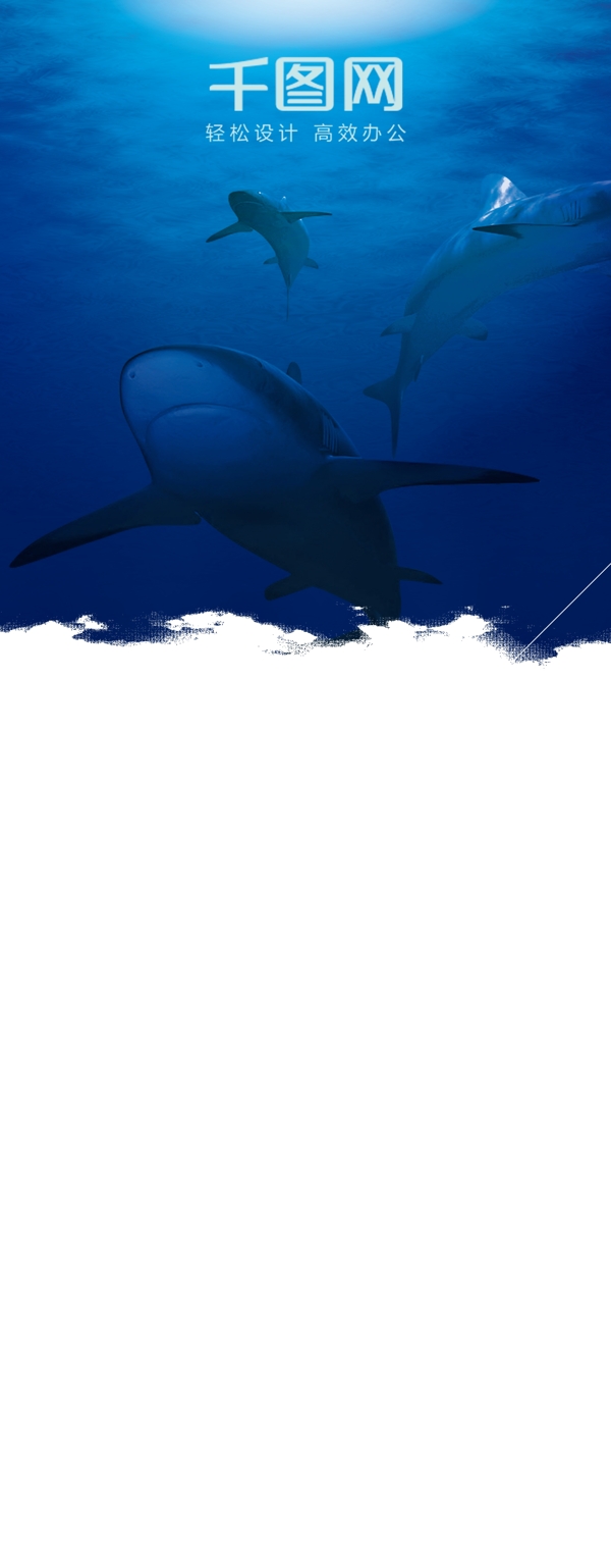 世界海洋日海底鲨鱼蓝色展架