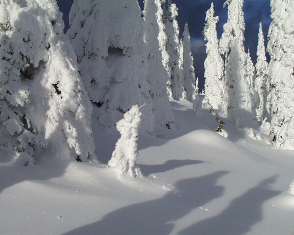 冰雪世界自然风景贴图素材JPG0302