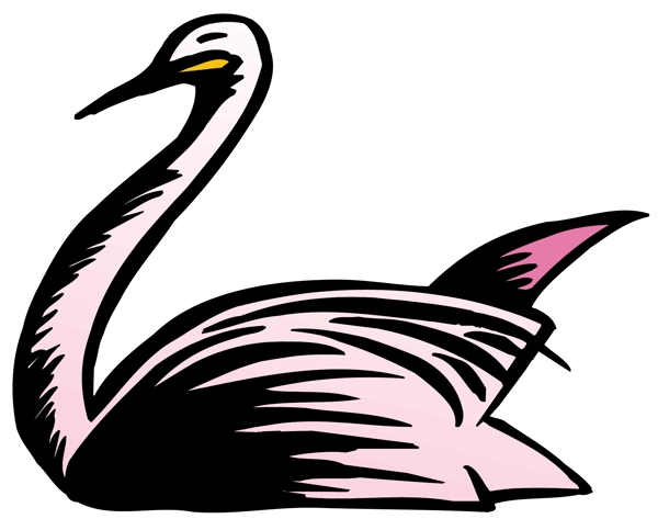 各種鳥(niǎo)類(lèi)鳥(niǎo)動(dòng)物矢量素材EPS格式1474