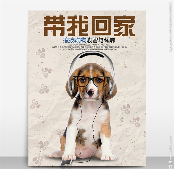 流浪动物领养宣传公益海报