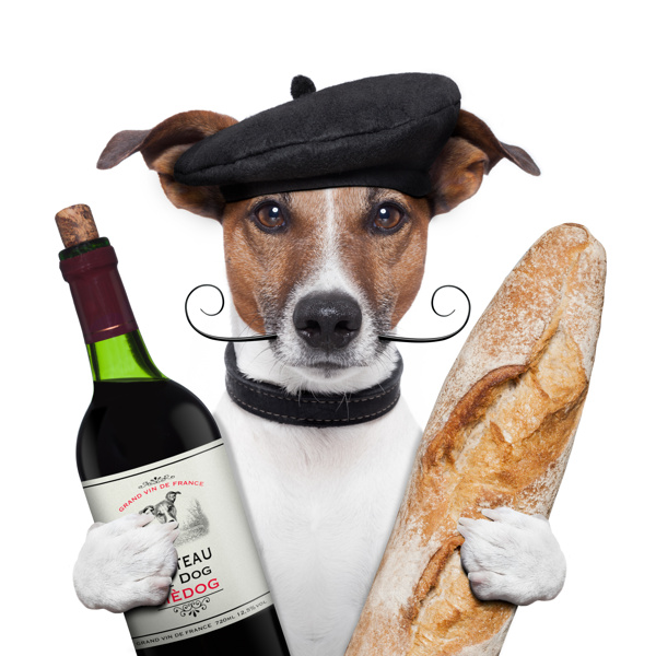 拿红酒面包的小狗图片