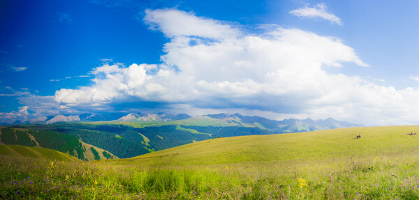 新疆喀拉峻草原美景