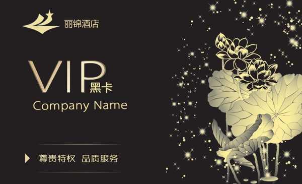 VIP卡圖片