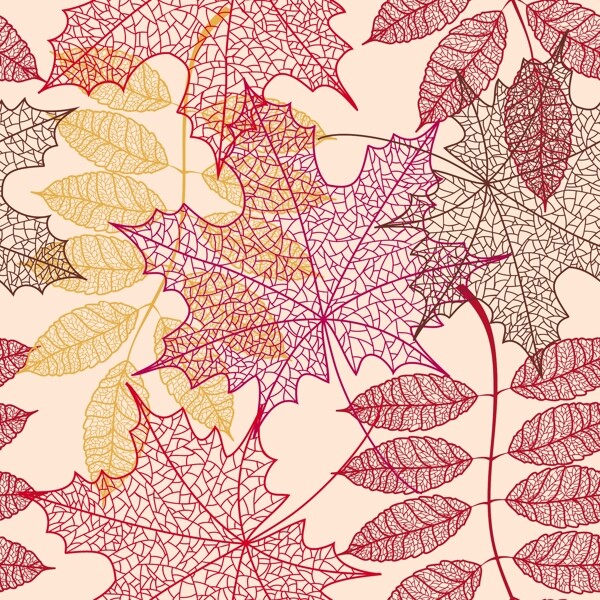 秋天的树叶图案矢量素材下载