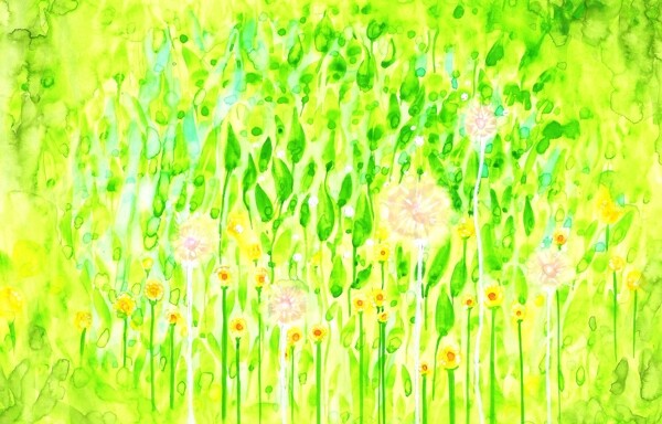 花卉插畫圖片
