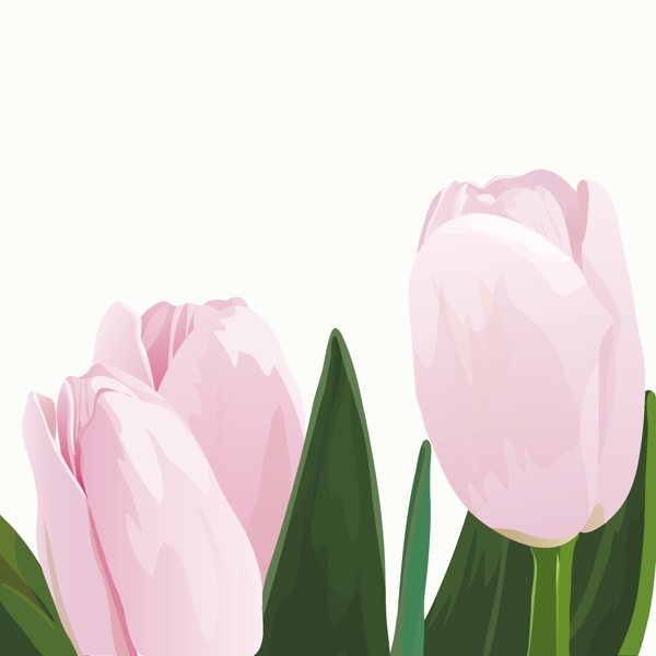 歐美花紋2012矢量EPS