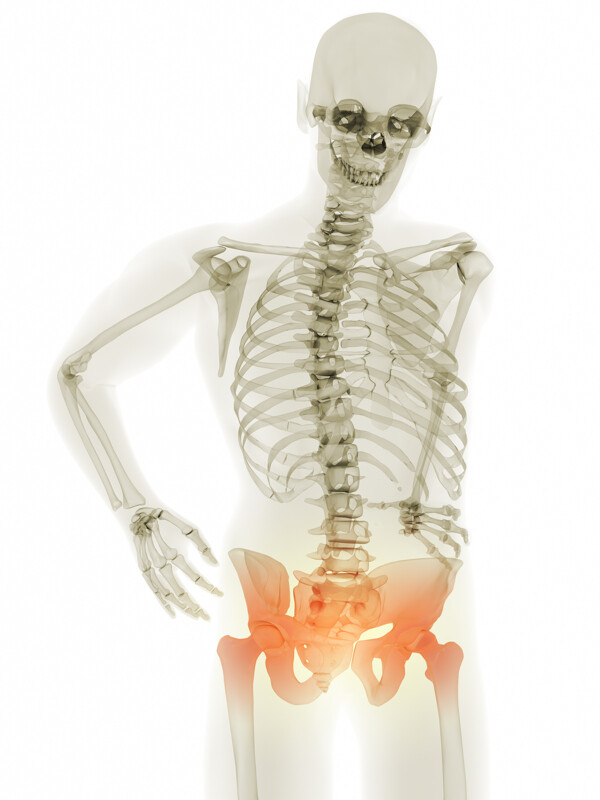 人体腰部X光图像图片