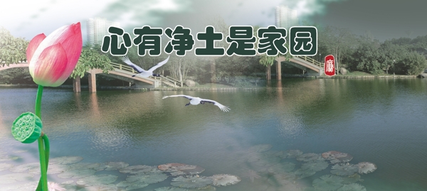 荷花公益畫(huà)