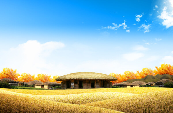 麥浪