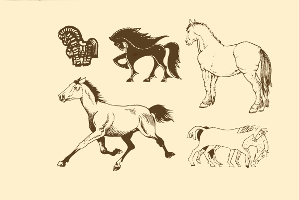 動物圖案馬圖片