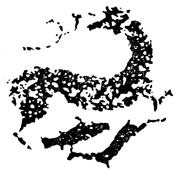 春秋戰(zhàn)國圖案青銅器圖案中國傳統(tǒng)圖案132