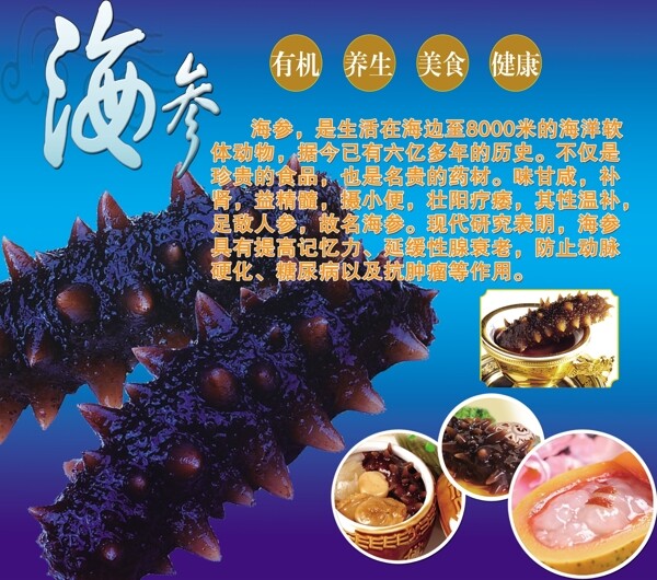 海參