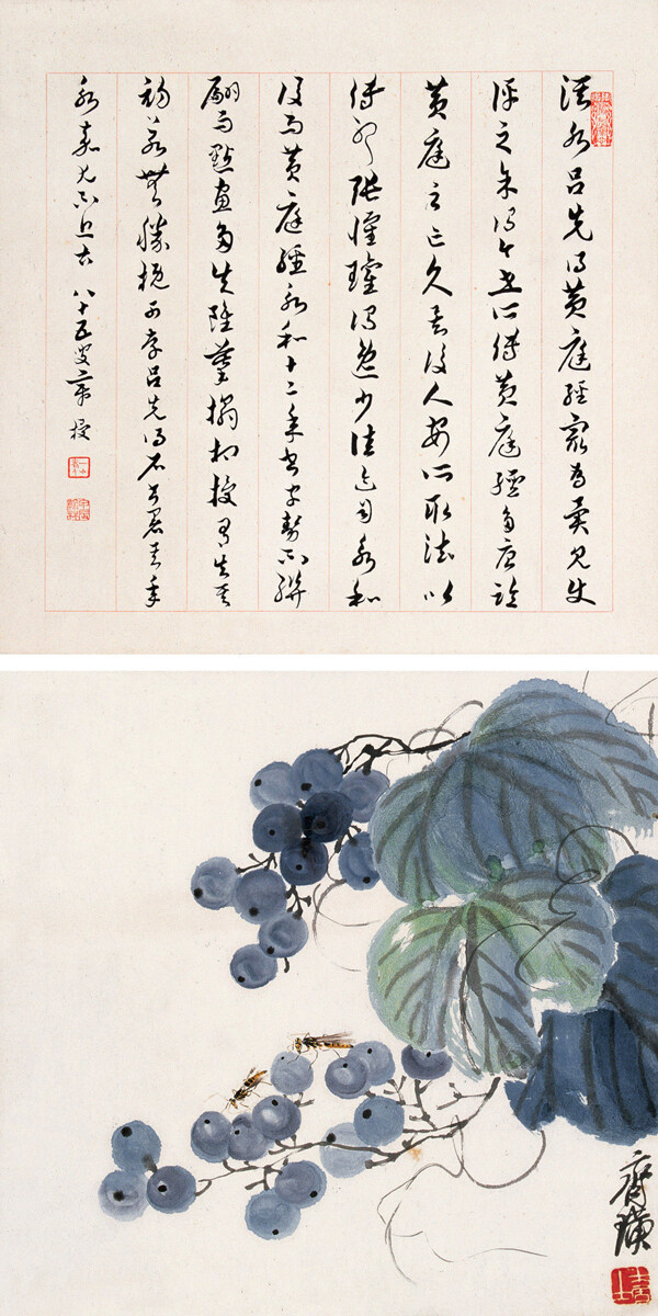 葡萄圖片