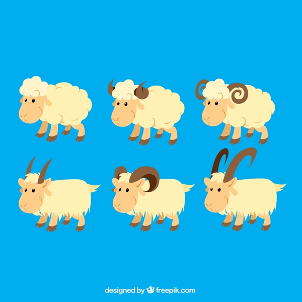 羊和山羊插图图片