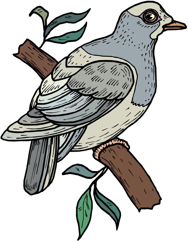 各種鳥類鳥動物矢量素材EPS格式0094