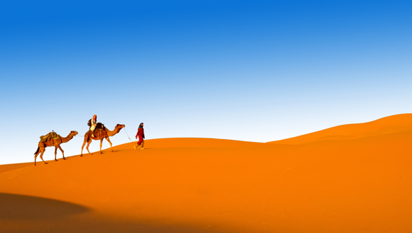 蓝天下沙漠中的骆驼和游人