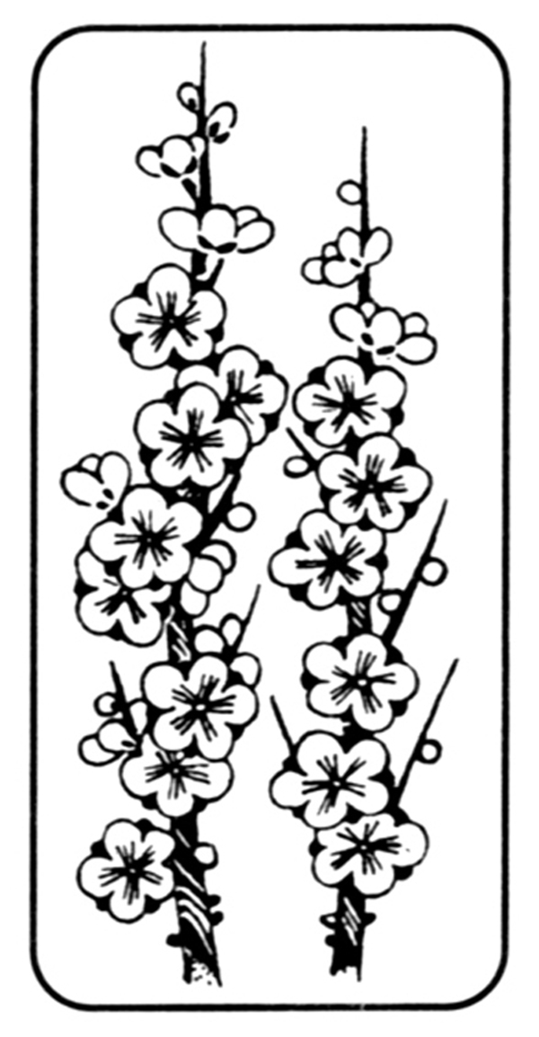 花鳥(niǎo)圖案?jìng)鹘y(tǒng)裝飾0189