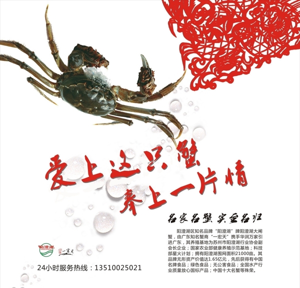 大閘蟹