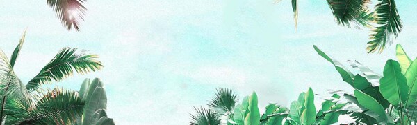 夢(mèng)想