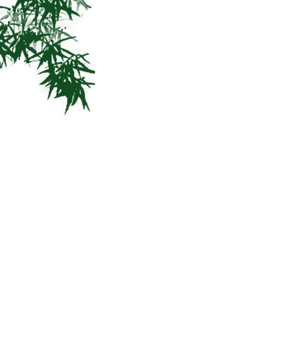 竹子