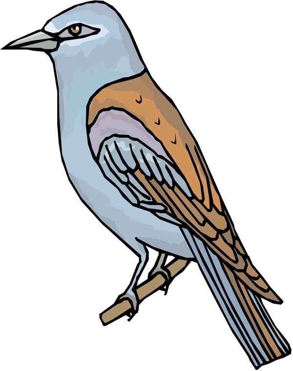 各種鳥類鳥動物矢量素材EPS格式0439