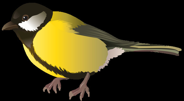 黄色羽毛小鸟图片免抠png透明图层素材