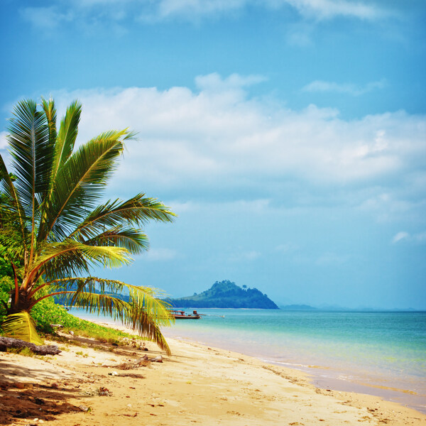 夏威夷海邊風(fēng)景圖圖片