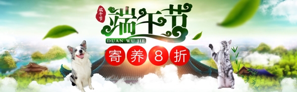 端午節(jié)寄養(yǎng)8折banner
