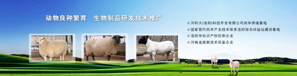 畜牧醫(yī)藥banner圖片