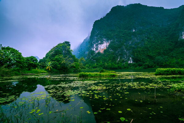 越南河流森林岩大自然