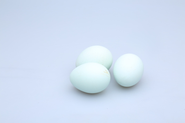 绿壳鸡蛋