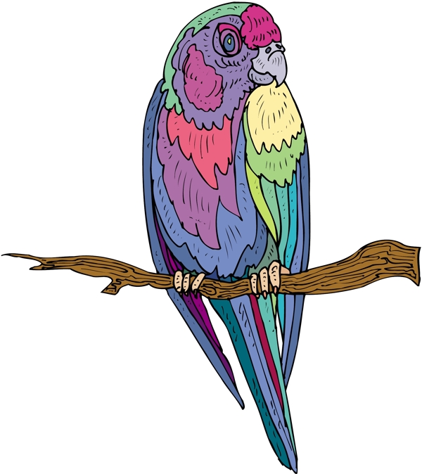 各種鳥類鳥動物矢量素材EPS格式1222