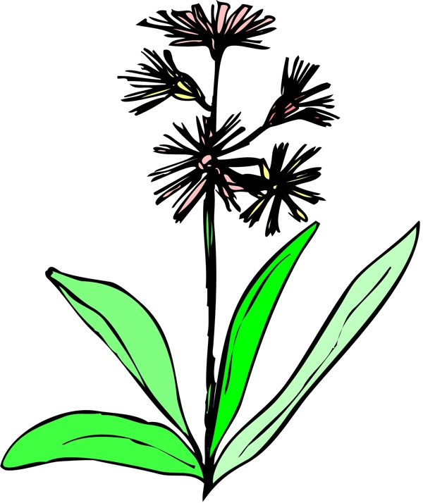 花朵花草鮮花矢量EPS格式0994