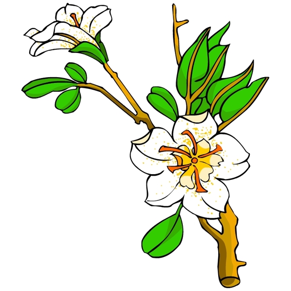 花卉古典插畫
