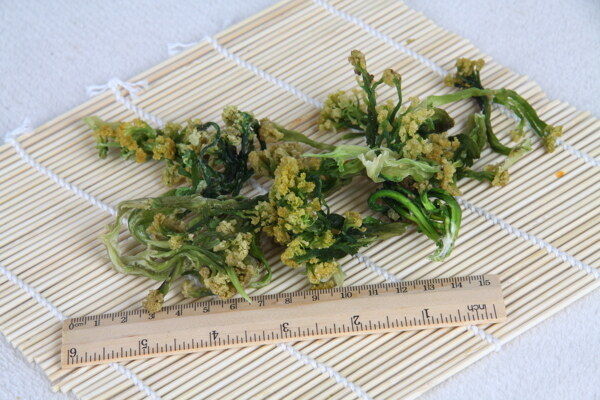 花菜干圖片