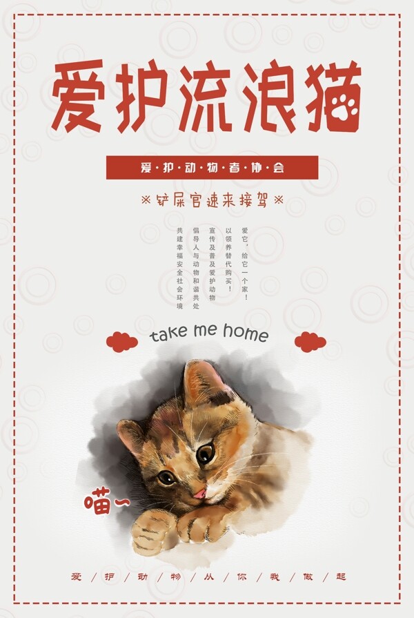 爱护流浪猫公益海报设计