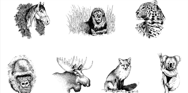 动物素描图片