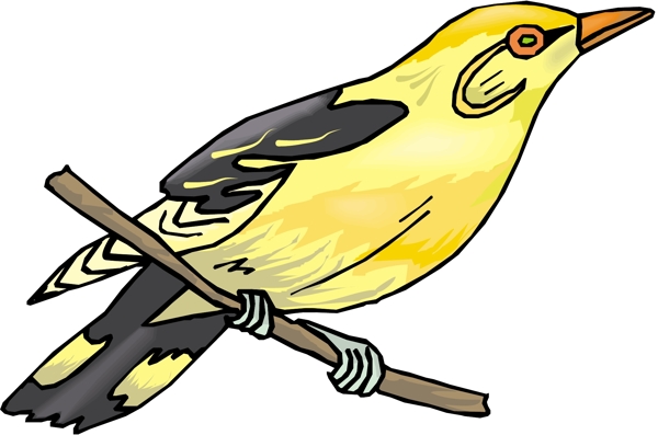 各種鳥類鳥動物矢量素材EPS格式0864
