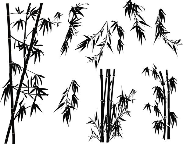竹子圖片