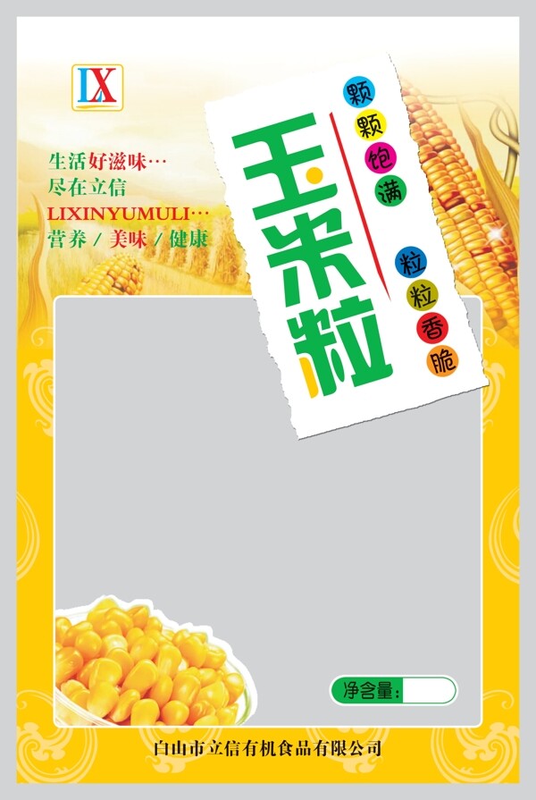 玉米粒圖片