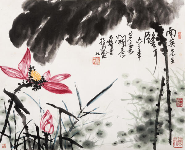 芙蓉開花圖片