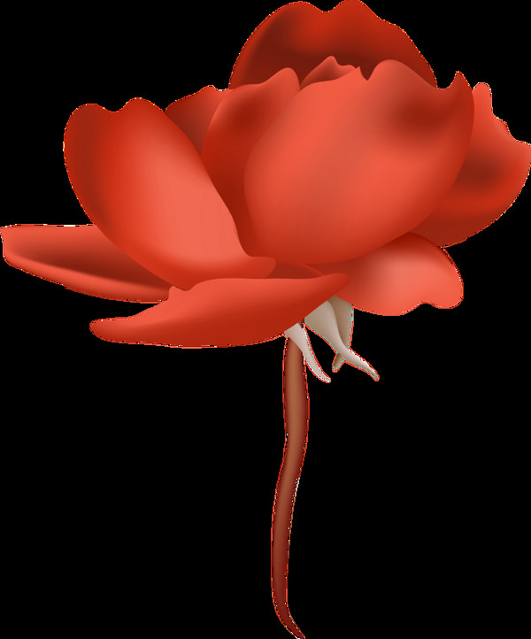 卡紅花蕊透明裝飾素材