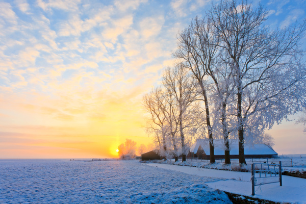 冬天日出美景图片