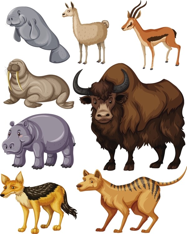 不同种类的野生动物插画