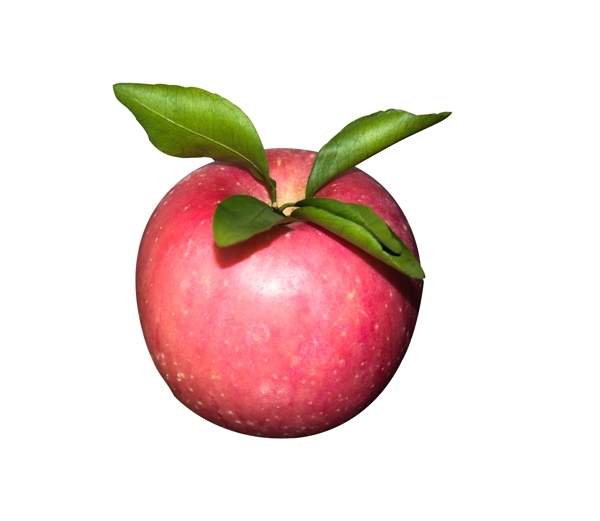 新鲜的苹红红的苹果实拍