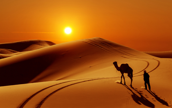 黄昏沙漠中的骆驼与游人