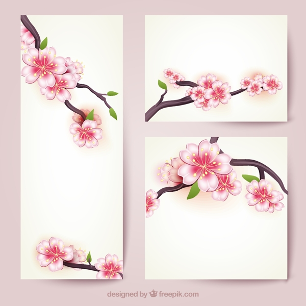 櫻花花枝卡片