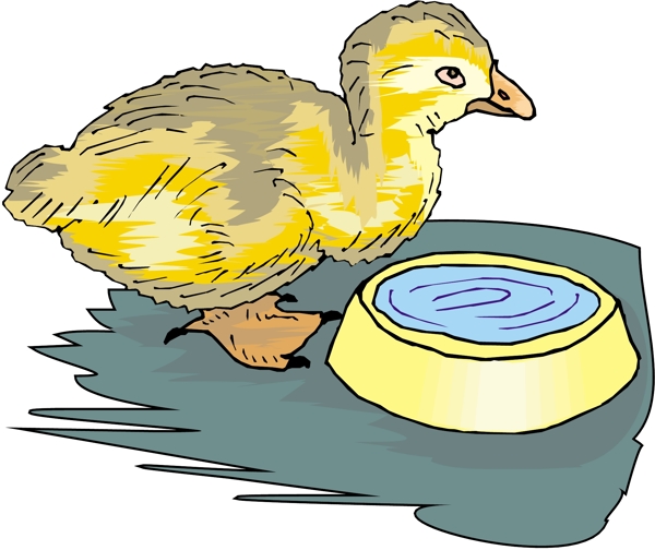 各種鳥類鳥動物矢量素材EPS格式0741