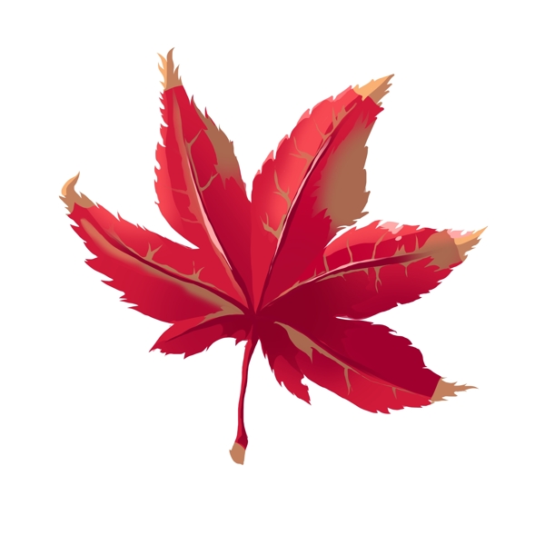 红色树叶图案插图