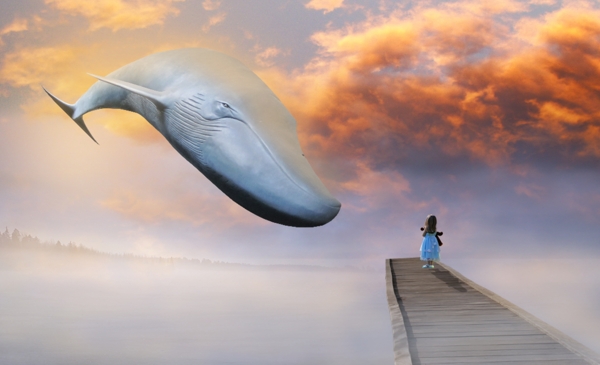 鲸鱼背景梦幻背景贴画